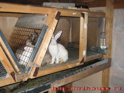 клетки для кроликов